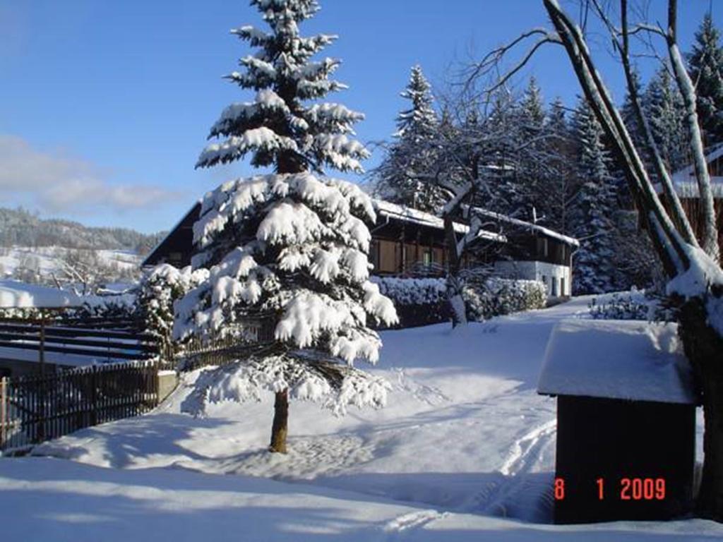 Relax Pension U Nosku Smrzovka Room photo